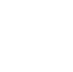 Princeton university